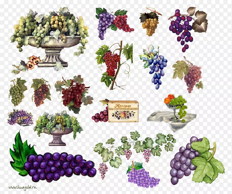 葡萄食品-葡萄