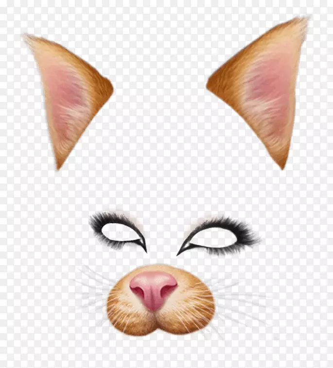 摄影滤镜Snapchat电脑图标剪辑艺术猫手