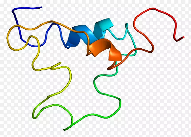 胰岛素样生长因子-1生长激素生长因子-dna结构人