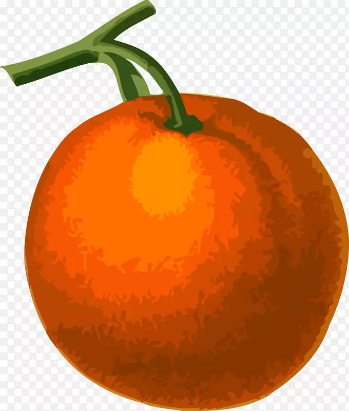 克莱门汀橘子画夹艺术-橙色水果