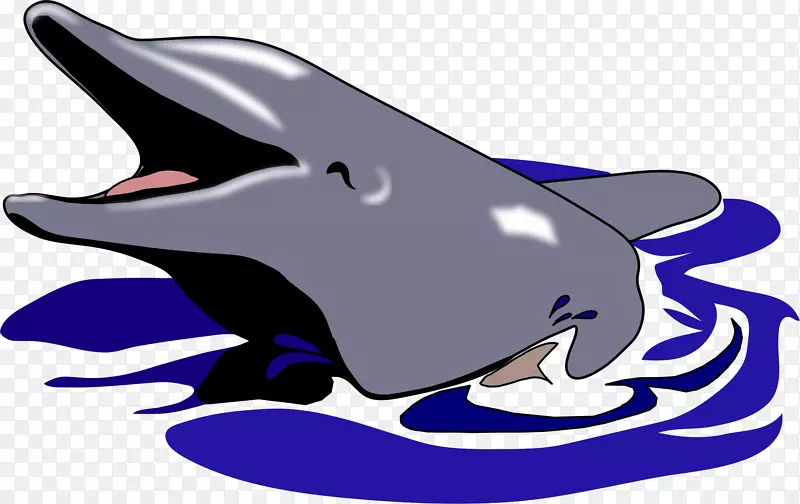 普通宽吻海豚图库溪剪贴画-海豚