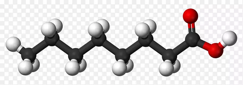 化学短链脂肪酸化学物质分子原子