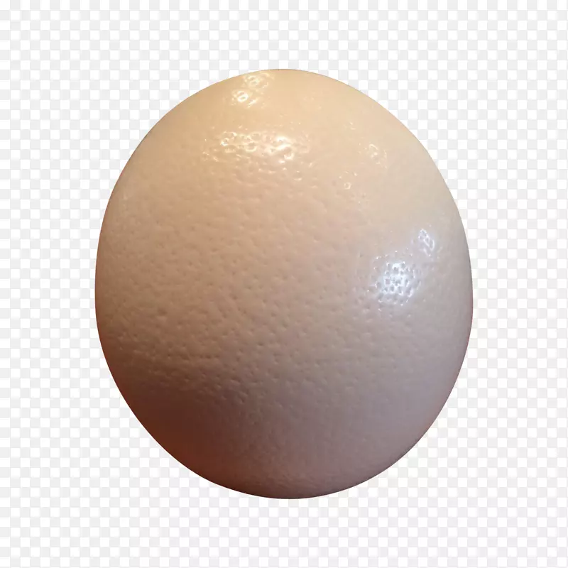 蛋球-蛋壳