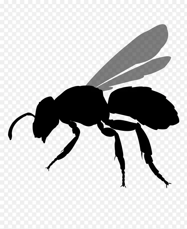 蜜蜂黄蜂剪贴画昆虫图