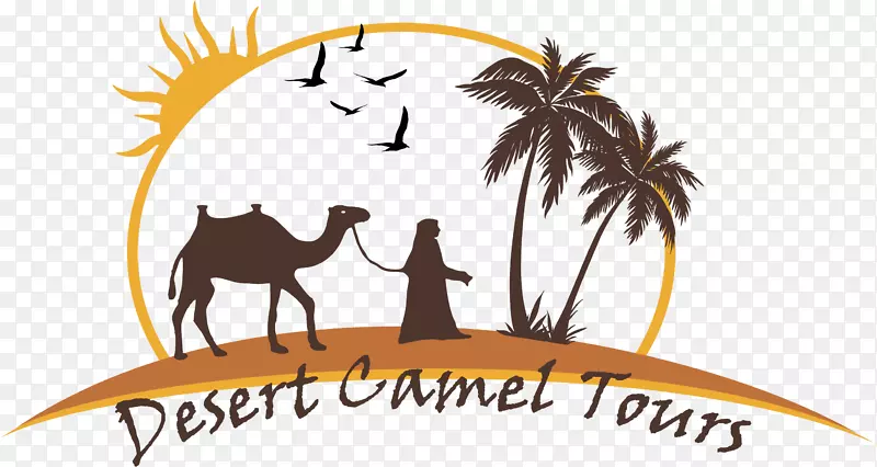 骆驼Merzouga fes Casablanca剪贴画-骆驼标志