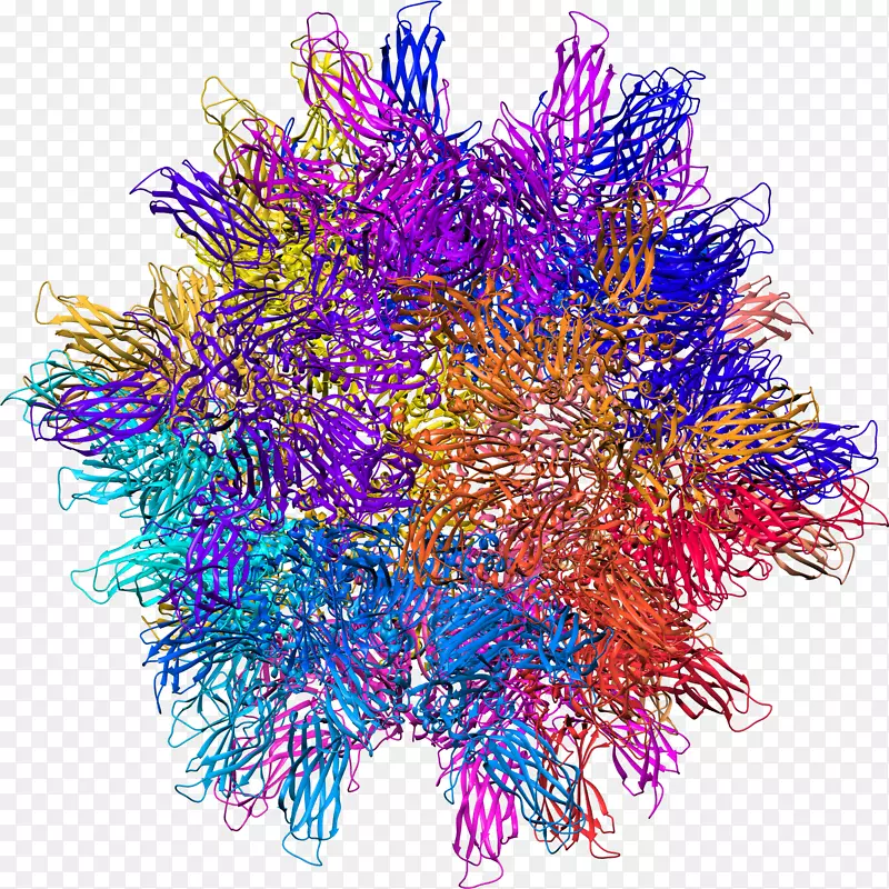 紫水族箱-多角体病毒