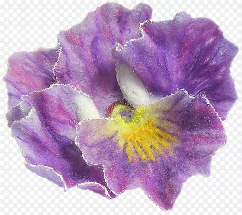 潘西紫罗兰花瓣玫瑰-紫罗兰