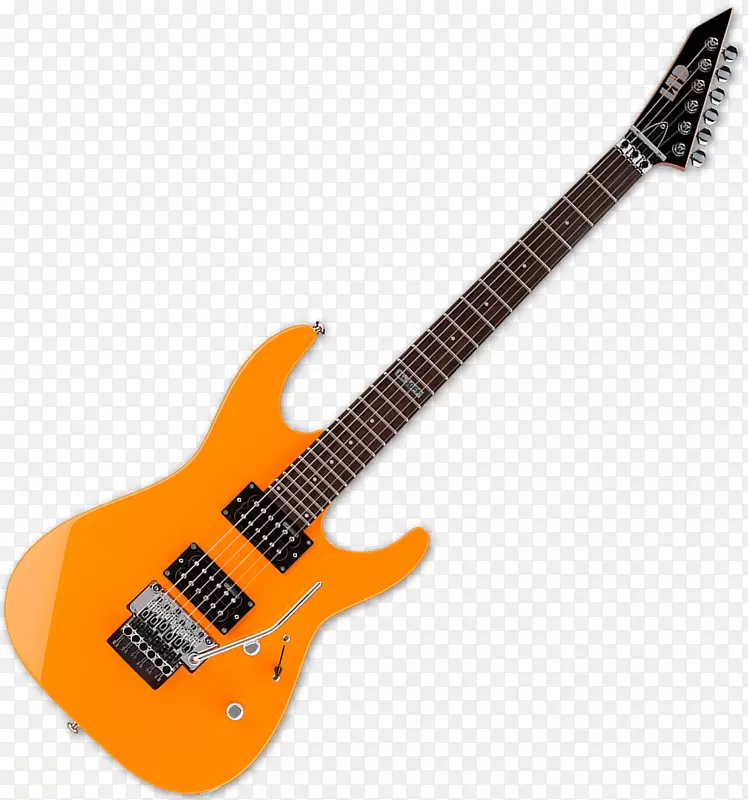 弗洛伊德玫瑰电吉他乐器(尤指吉他)有限公司。