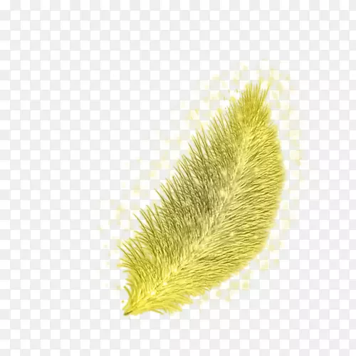 特写商品-金色羽毛