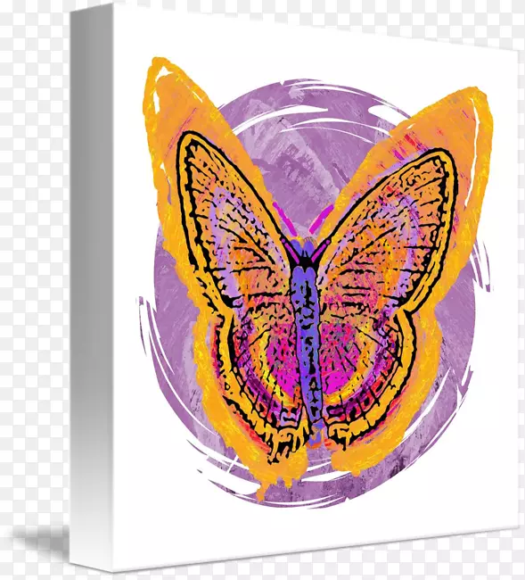 帝王蝴蝶，若虫科，手提袋，紫色光泽蝴蝶