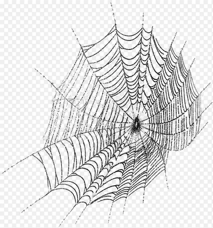 蜘蛛网剪贴画-蜘蛛