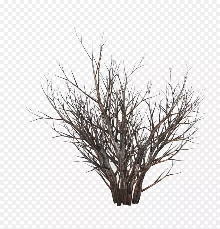 原木摄影树免版税渲染手绘雪树
