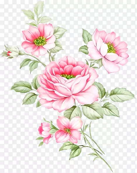 花园玫瑰花卉设计广告插花设计