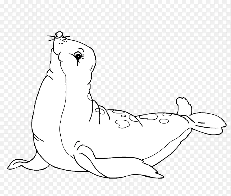 无耳海豹着色书绘制港口海豹自然海洋动物海豹