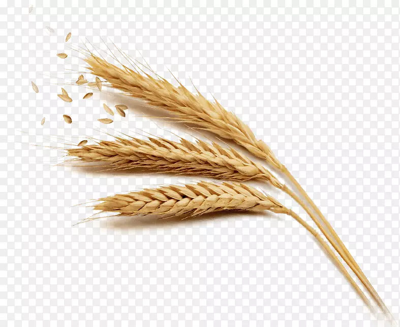 谷类全谷类大米食品-大米