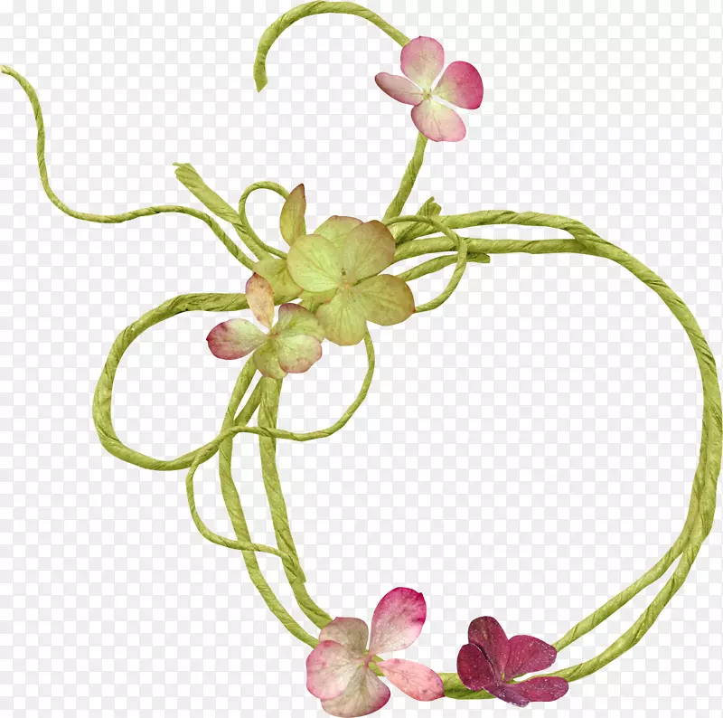 画框花卉设计摄影剪贴画装饰植物