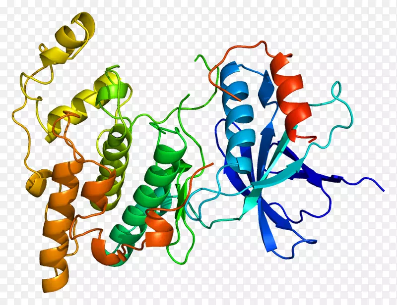 c-jun n-末端激酶-丝裂原活化蛋白激酶mapk 10
