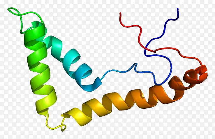 蛋白转录因子激酶核仁组成区-区域