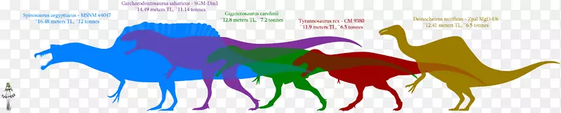 恐龙大小南方巨兽龙-蒙古