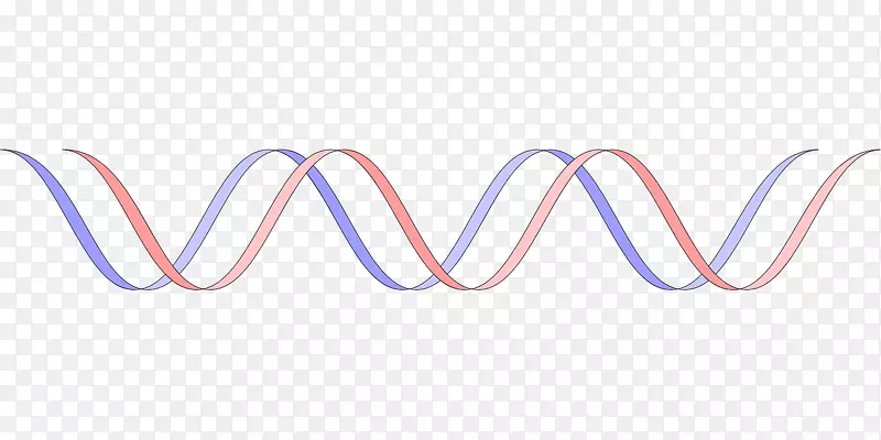 DNA基因组编辑疾病遗传学治疗