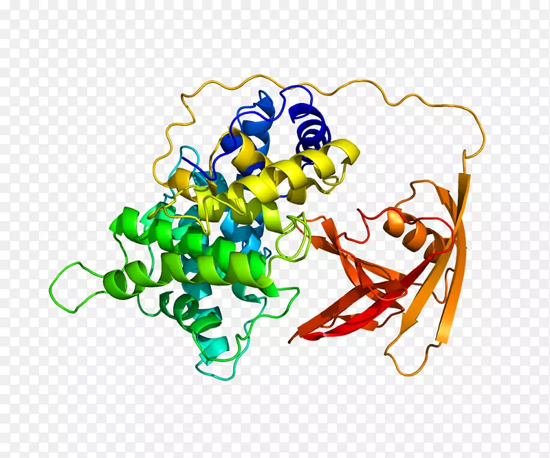 内禀因子转钴胺蛋白维生素b-12