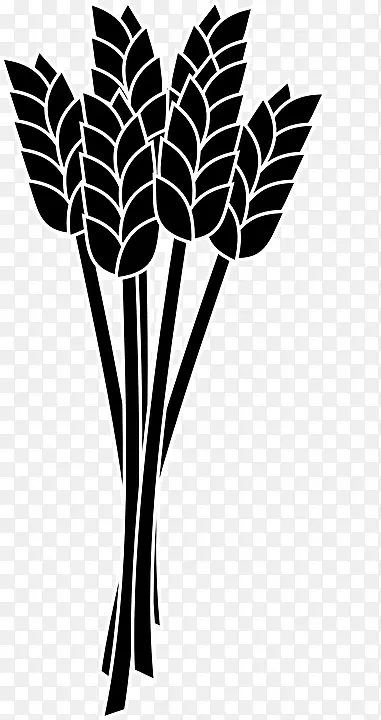 小麦穗剪艺术-小麦