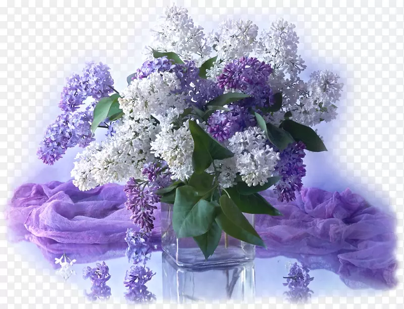 紫丁香花束、观赏植物-紫丁香