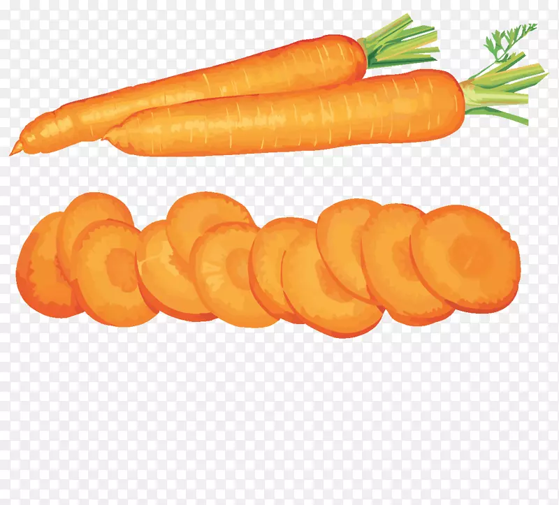 胡萝卜蔬菜水果剪贴画-胡萝卜剪贴画