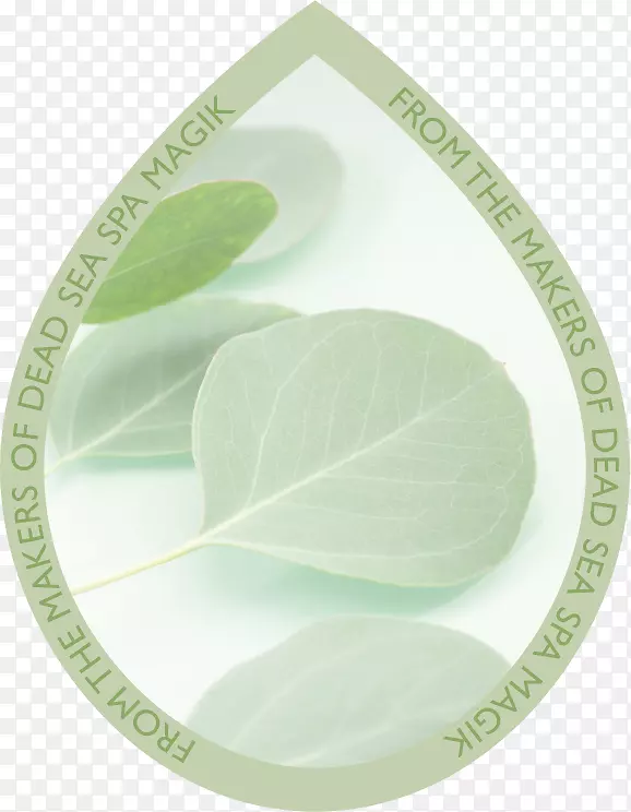 绿叶树胶树餐具.创造性绿色水滴