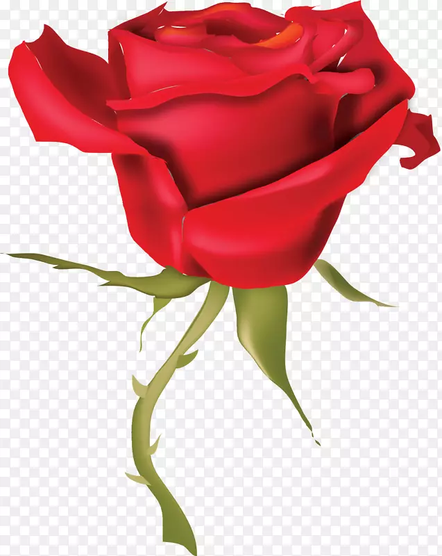 玫瑰画夹艺术-红玫瑰