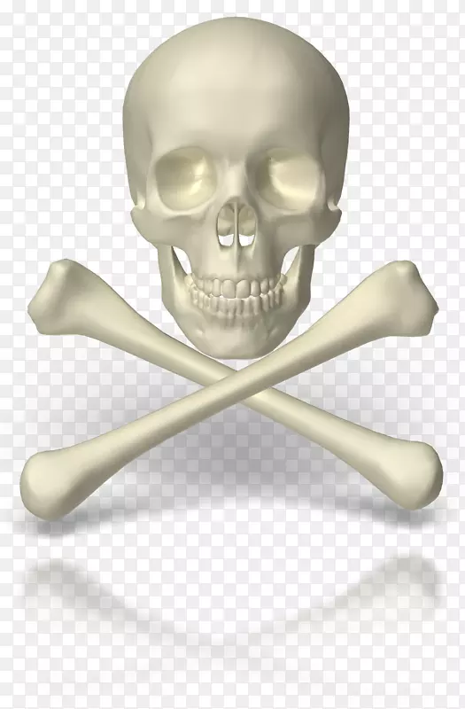头骨和十字骨PowerPoint动画-创意骨架