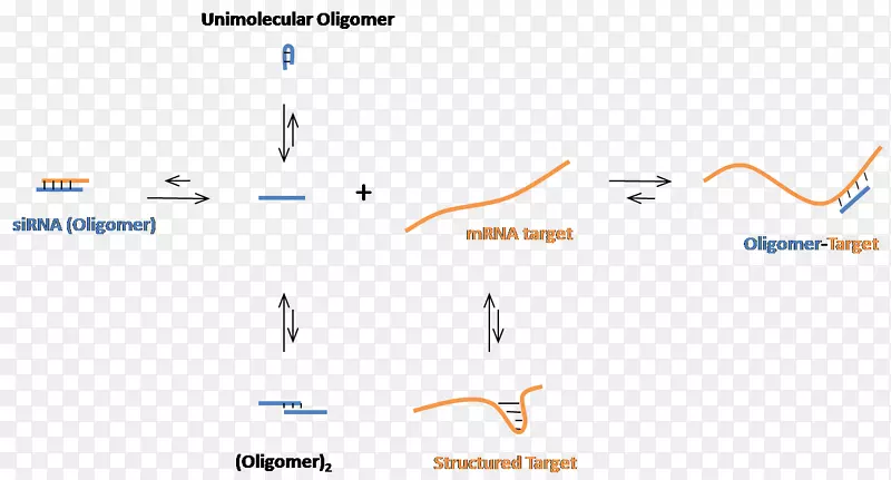 小干扰RNA寡核苷酸信使RNA核酸序列修饰载体