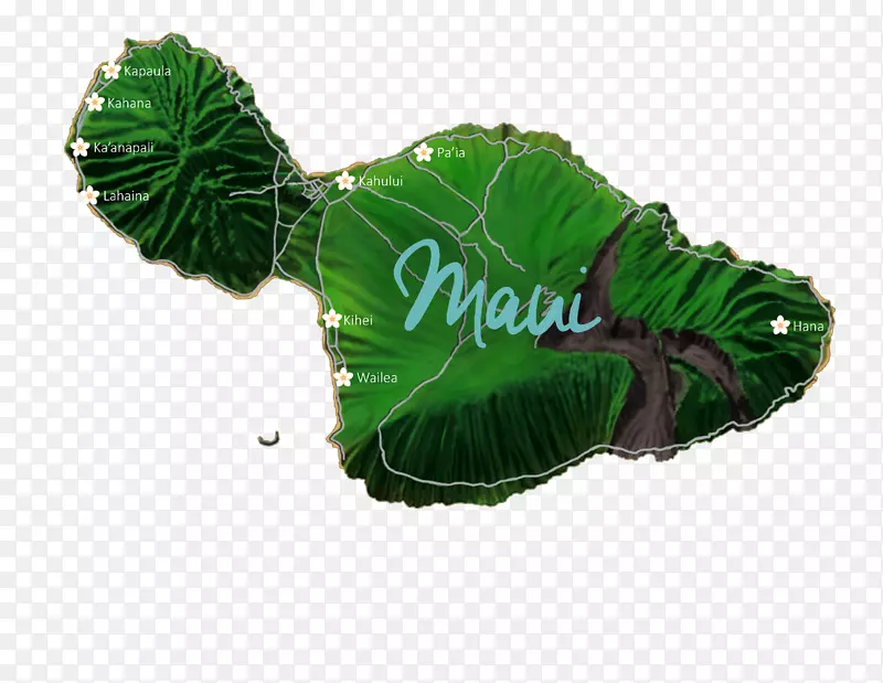 毛伊岛兰凯海滩考艾别墅度假租赁-夏威夷岛