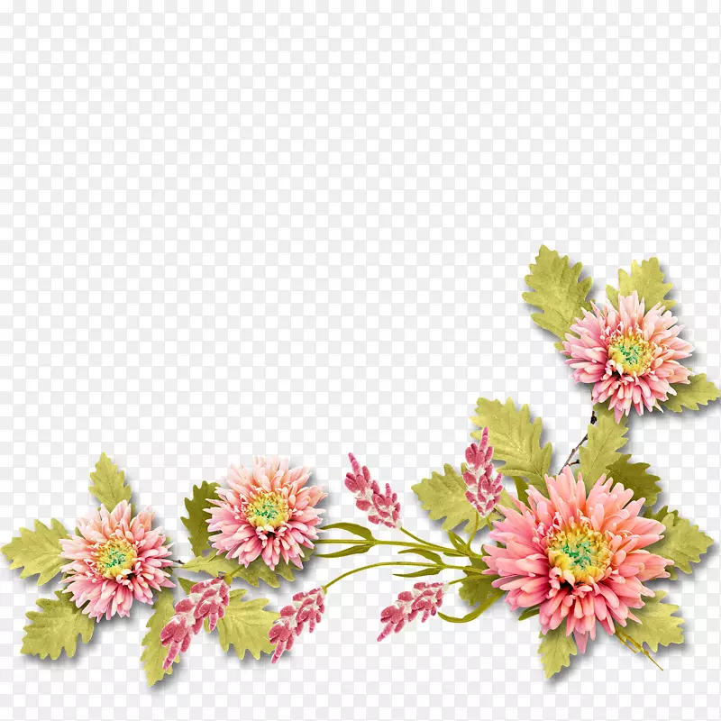 花卉设计博客剪贴画-花