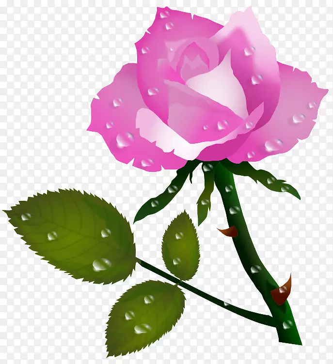 玫瑰花红夹子艺术-玫瑰