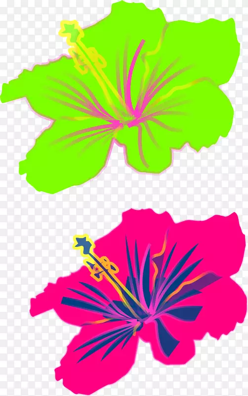 夏威夷木槿剪贴画.芙蓉的气味