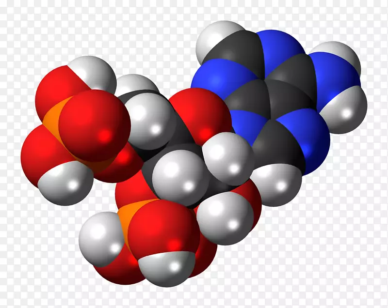 鸟苷三磷酸鸟苷一磷酸鸟苷二磷酸腺苷三磷酸腺苷分子结构背景