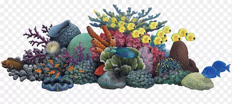 珊瑚礁海洋剪贴画-海