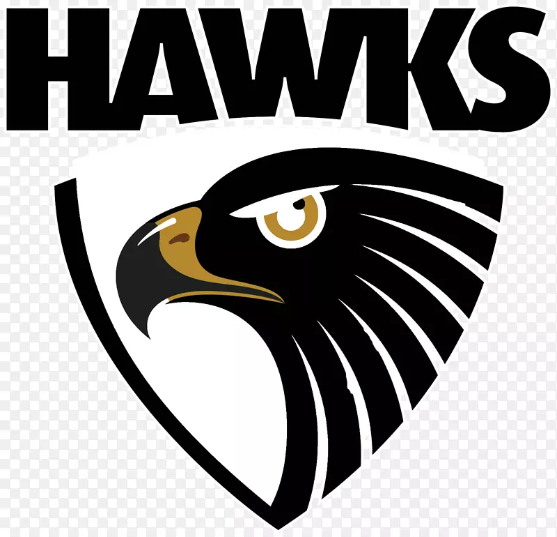 山楂足球俱乐部西海岸鹰悉尼天鹅2018年AFL赛季里士满足球俱乐部-鹰队