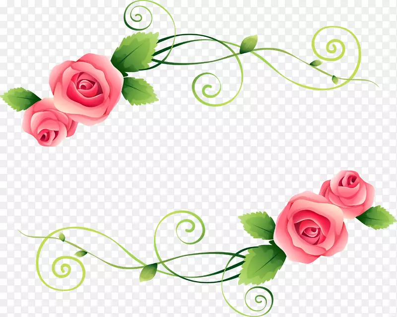 花园玫瑰，花卉摄影，剪贴画-美丽的玫瑰
