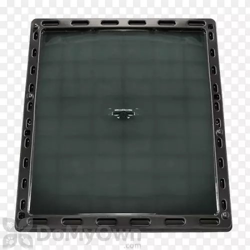 老鼠托盘工具啮齿动物-普通家畜