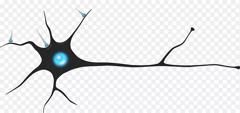 神经元突触人工神经网络