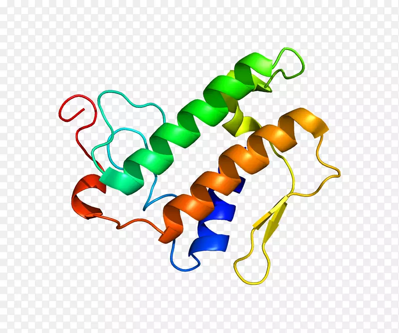 磷脂酶a2蛋白链基因