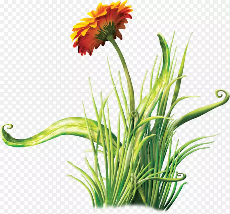 风景照明花园会摄影