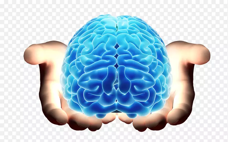 脑神经学周围神经系统脊髓-脑