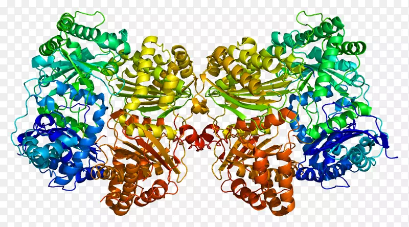 胰岛素降解酶蛋白生物催化激素