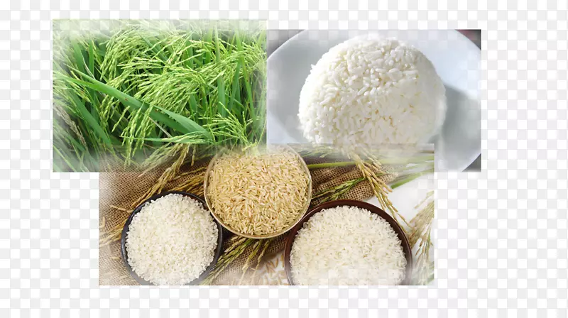 泰国稻谷矿物白米-稻谷