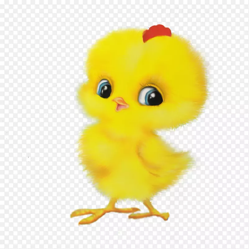 鸡童游戏复活节游戏-可爱的小鸡动物