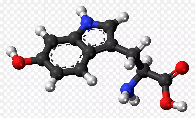 支链氨基酸5-羟色胺左旋多巴胶囊激素