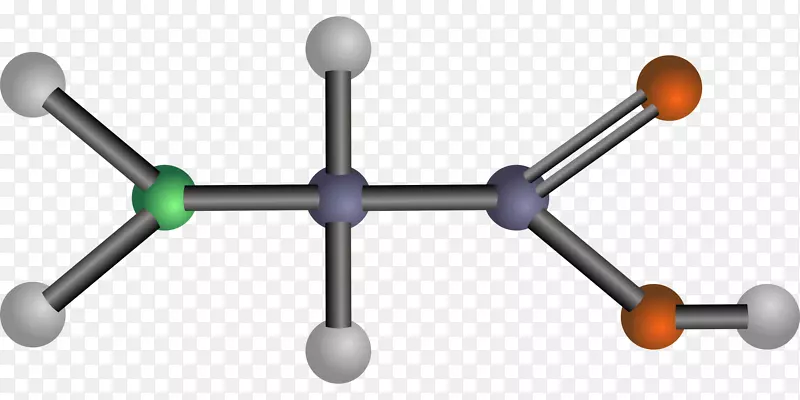 氨基酸缬草碱丙氨酸夹酸